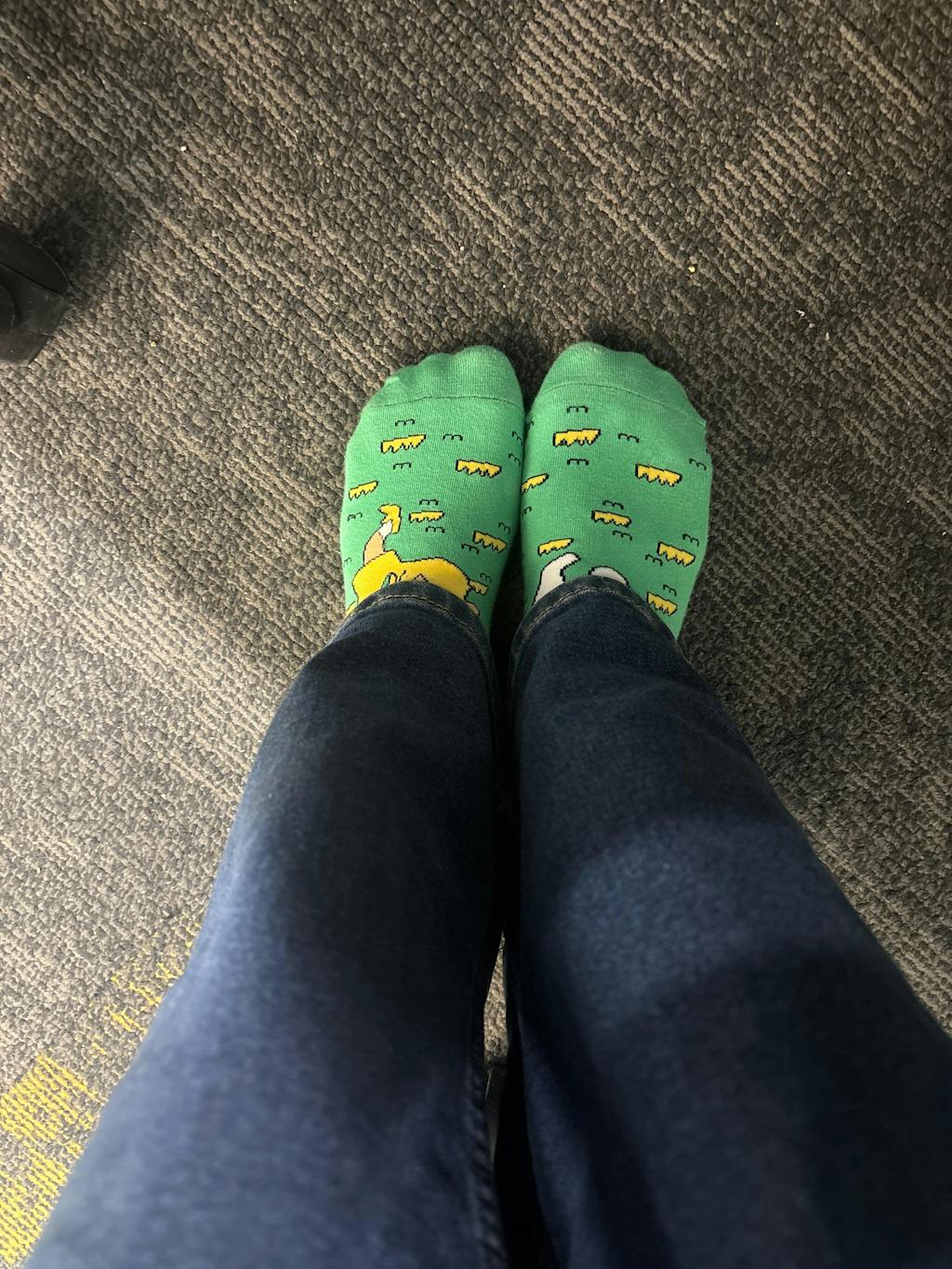Customer wearing Jumplings dino ankle socks